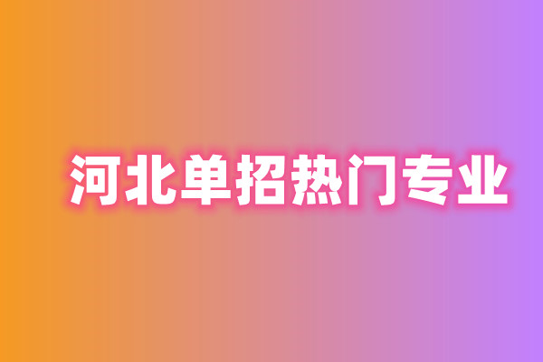 2024年河北高职单招十大热门专业