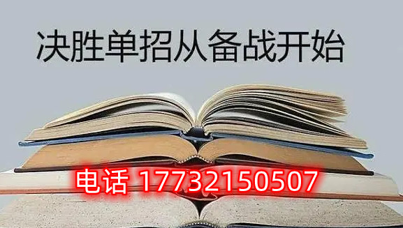 2024年河北省高职单招考试语文和数学是什么题型？